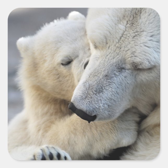 Adesivo Quadrado Motherly Love (Frente)