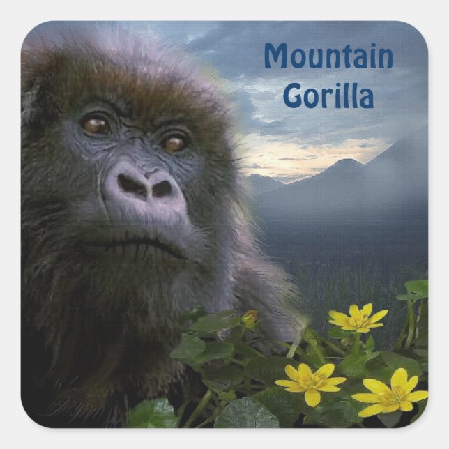 Adesivo Quadrado Mountain Gorilla African Willife Sticker (Frente)