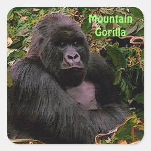 Adesivo Quadrado Mountain Gorilla African Willife Sticker