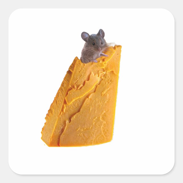 ADESIVO QUADRADO MOUSE E QUEIJO EM VESTIDO (Frente)