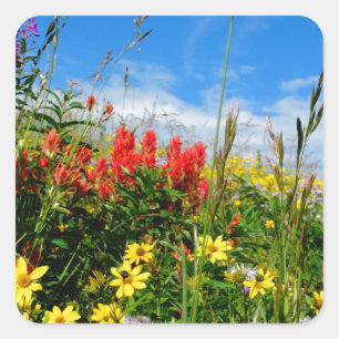 Adesivo Quadrado Mt. Wildflower