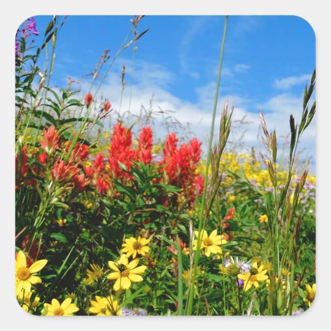 Adesivo Quadrado Mt. Wildflower (Frente)