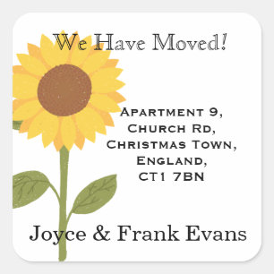 Adesivo Quadrado mudança de girassol cartões de autocolante