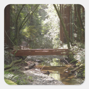 Adesivo Quadrado Muir Woods Ponte II