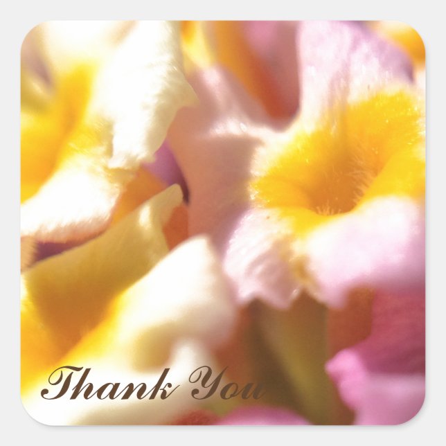 Adesivo Quadrado Muito obrigado. (Frente)