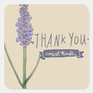 Adesivo Quadrado Muito Obrigado, Muito gentil Hyacinth