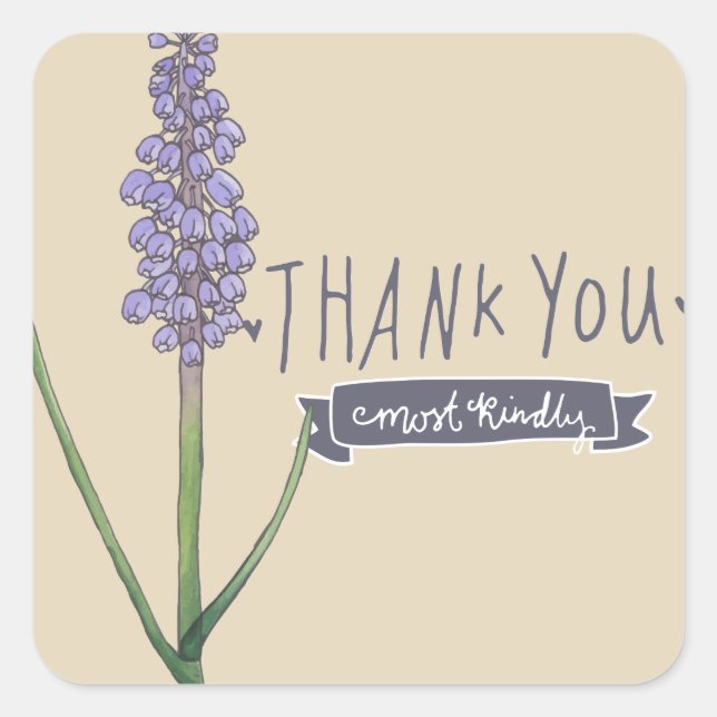 Adesivo Quadrado Muito Obrigado, Muito gentil Hyacinth (Frente)