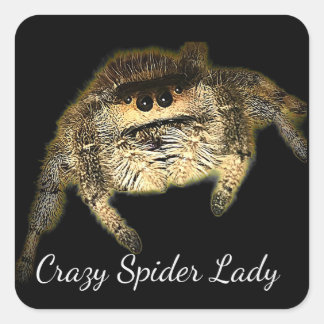 Adesivo Quadrado Mulher Aranha Louca