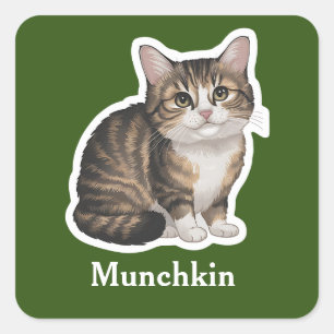 Adesivo Quadrado Munchkin