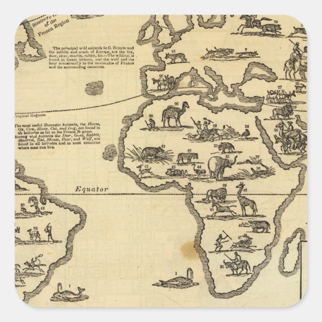 Adesivo Quadrado Mundo dos Animais (Frente)