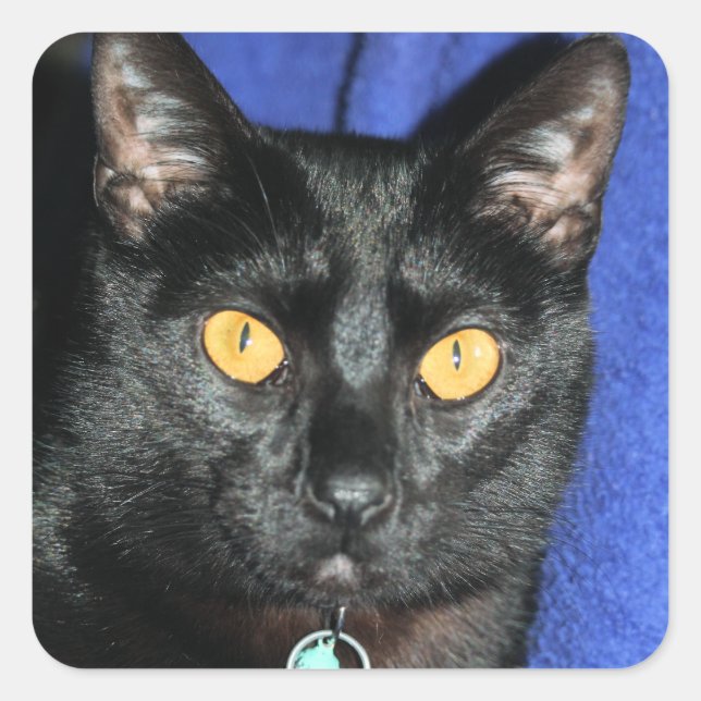 Adesivo Quadrado Murphy (Frente)