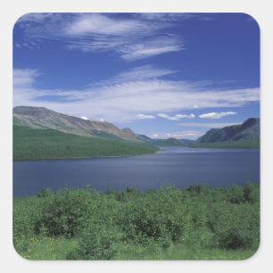 Adesivo Quadrado N.A., Canadá, Terra Nova, Grose Morne Trout