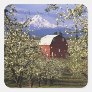 Adesivo Quadrado N.A., EUA, Oregon, Condado de Hood River. Vermelho