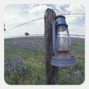 Adesivo Quadrado N.A., EUA, Texas, Lano, Lanterna Azul, carvalho