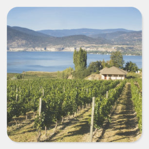 Adesivo Quadrado NA; Canadá; Colúmbia Britânica; Vale de Okanagan;
