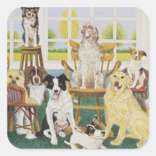 Adesivo Quadrado Na Casa dos Cães