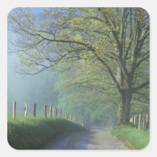 Adesivo Quadrado NA, EUA, Tennessee, Cades Cove, Enfumaçado Excelen