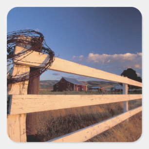 Adesivo Quadrado NA, EUA, Washington, perto de Walla Walla, cerca,