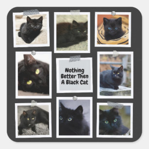 Adesivo Quadrado Nada Melhor Que Um Gato Negro