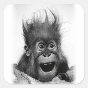 Adesivo Quadrado NÃO ENTRE EM PÂNICO! Sticker Quadrado