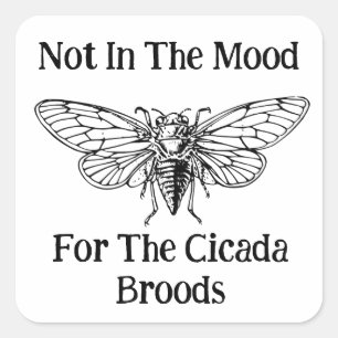 Adesivo Quadrado Não Está No Humor Para As Florestas De Cicada