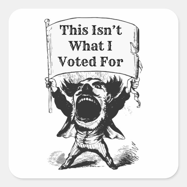 Adesivo Quadrado Não foi por isso que votei (Frente)