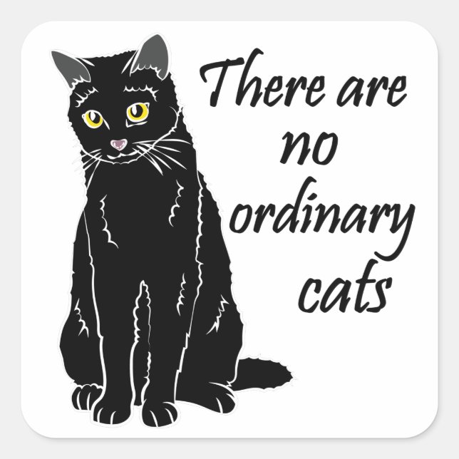 Adesivo Quadrado Não Há Gatos Comuns (Frente)
