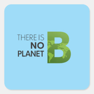 Adesivo Quadrado Não há planeta B - Tipografia da Terra Verde