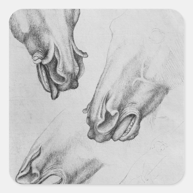 Adesivo Quadrado narinas de cavalos esmagadas (Frente)