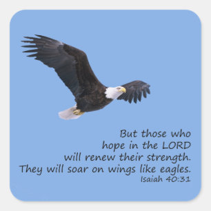 Adesivo Quadrado Nas Asas, Como Os Pinheiros De Águia