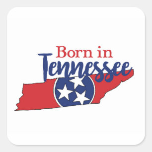 Adesivo Quadrado Nascer no Tennessee State Symbols Volunteer State