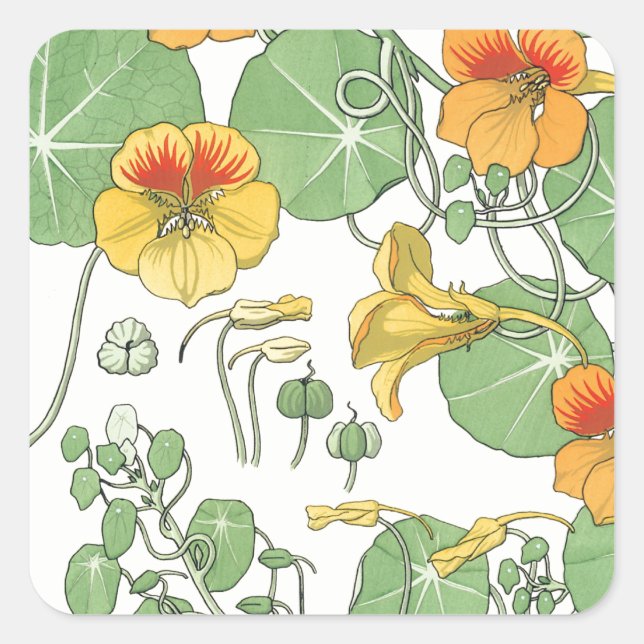 Adesivo Quadrado Nastúrbios (Frente)