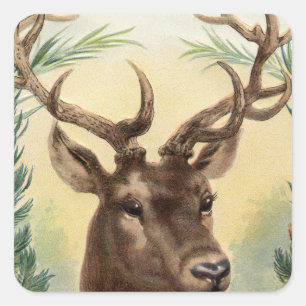 Adesivo Quadrado Natais vintages Deer
