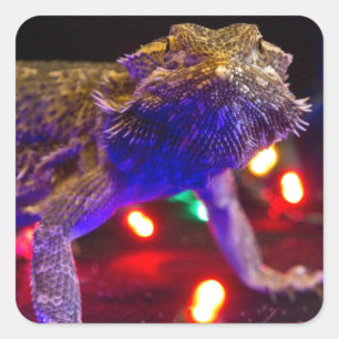 Adesivo Quadrado Natal Beardie