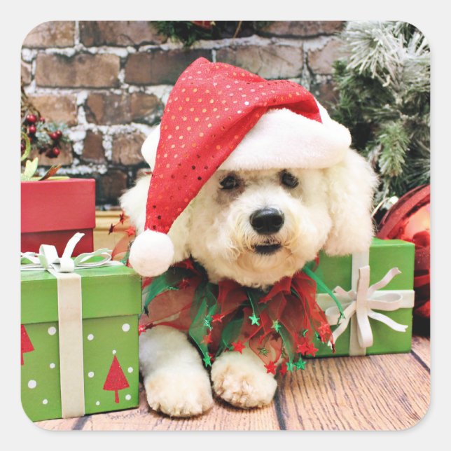 Adesivo Quadrado Natal - Bichon Frise - Daisy (Frente)