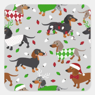 Adesivo Quadrado Natal Dachshund Todos os Casacos