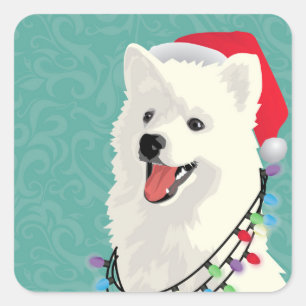 Adesivo Quadrado Natal de Cachorro Cachorro Cachorro Samoyed Eskimo