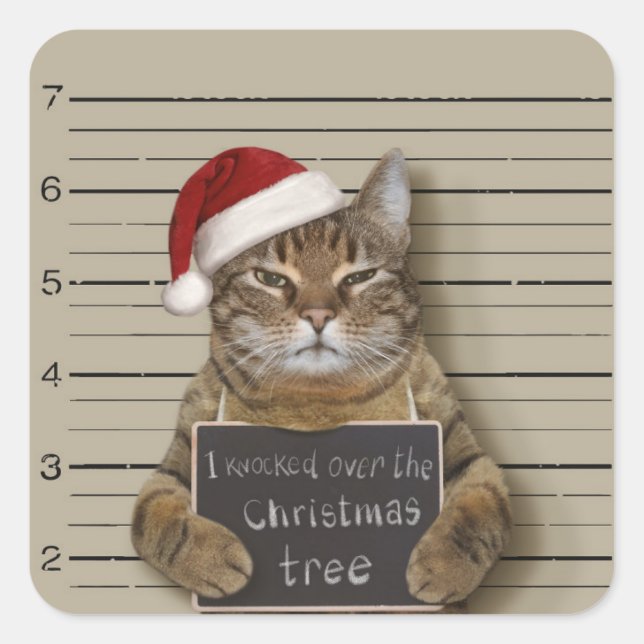 Adesivo Quadrado Natal de Gato de Mugshot (Frente)