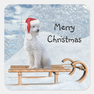 Adesivo Quadrado Natal de Poodle Branco