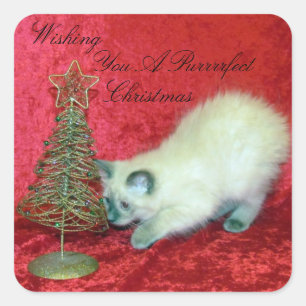 Adesivo Quadrado Natal Divertido da Savannah - Gatinho / Gato