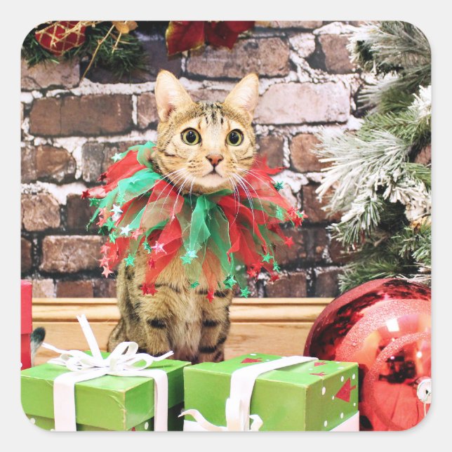Adesivo Quadrado Natal - Gato Bengala - Jack (Frente)