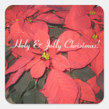 Natal Santa e Jolly, Poinsettia, Sticker