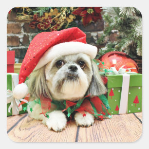 Adesivo Quadrado Natal - Shih Tzu - aparelho