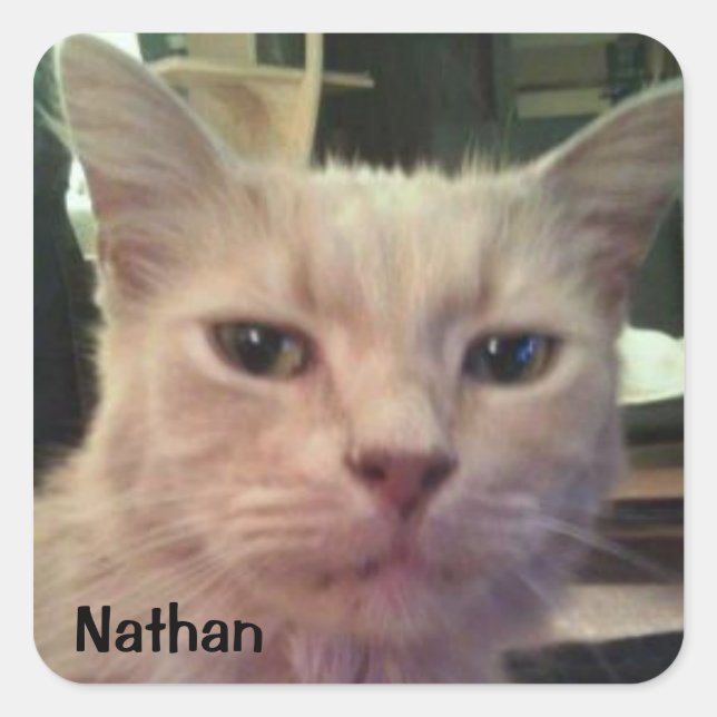 ADESIVO QUADRADO NATHAN STICKER (Frente)