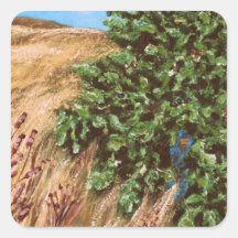 Nathanael e Fig Tree