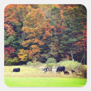 Adesivo Quadrado Natureza do Campo Foliage Cows