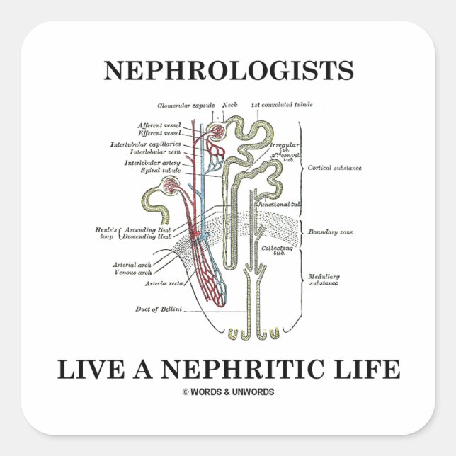 Adesivo Quadrado Nefrologistas Vivem Uma Vida Nefítica (Nephron) (Frente)
