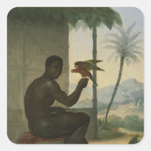 Adesivo Quadrado Negro brasileiro com pássaro tropical