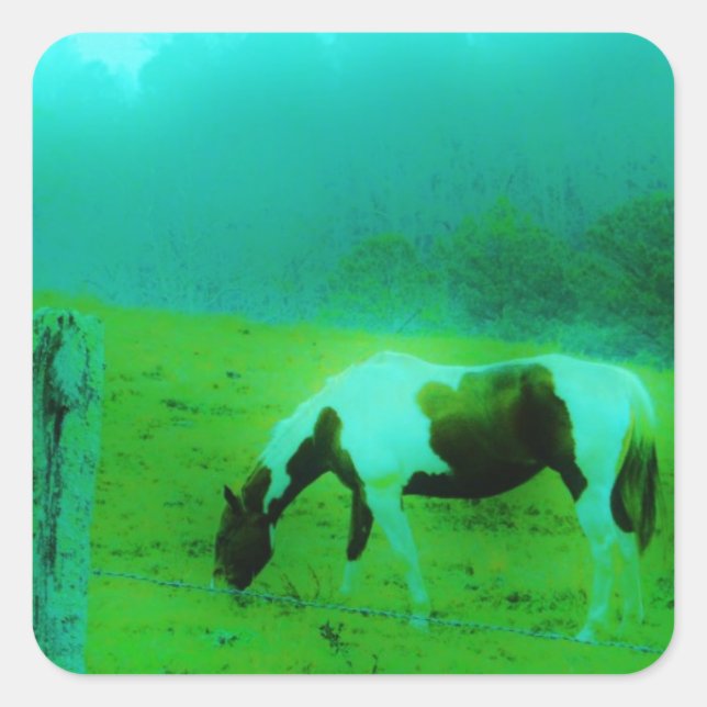Adesivo Quadrado Névoa Teal Reto pintado de cor Cavalo (Frente)