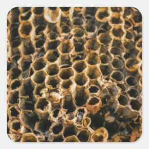 Adesivo Quadrado Ninho vazio